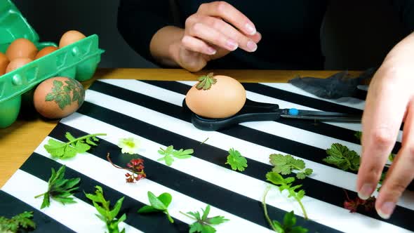 Female woman hands traditionally coloring eggs. Dye Easter Eggs in Nature's Hues.