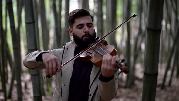 Romantic Musician is Playing Violin in Bamboo Grove Fiddler in Nature