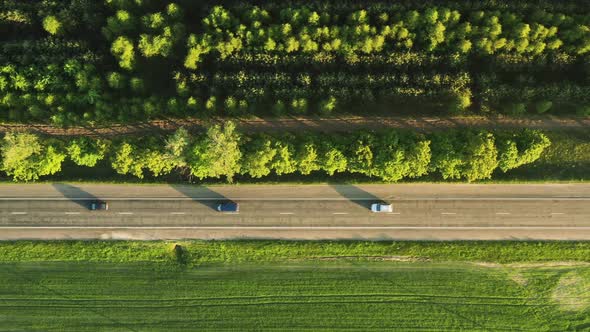 Top View of the Road with Transport Among Fields and Trees