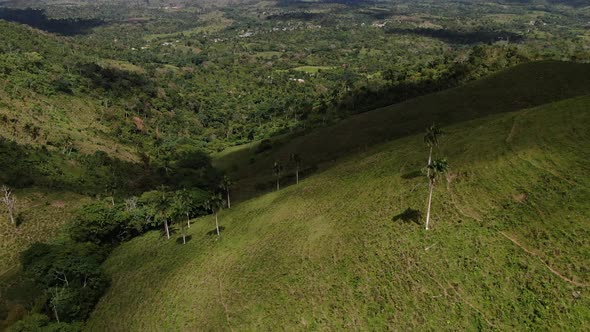 Aerial Footage of the Beautiful Grass Covered Hills and Valleys with Forests