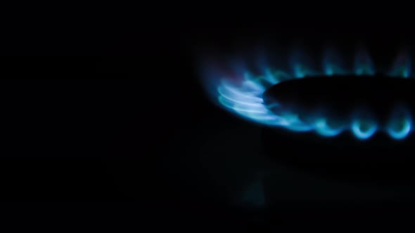 Blue gas stove flame on black background