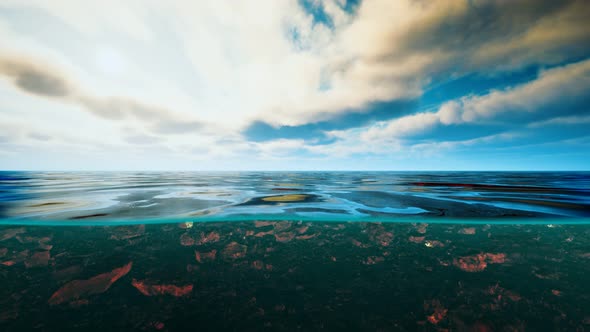 Underwater View with Horizon and Water Surface Split By Waterline