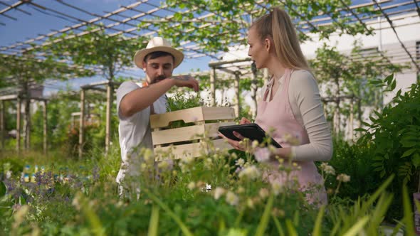 Young Couple of Gardeners in Aprons Caring for Plants