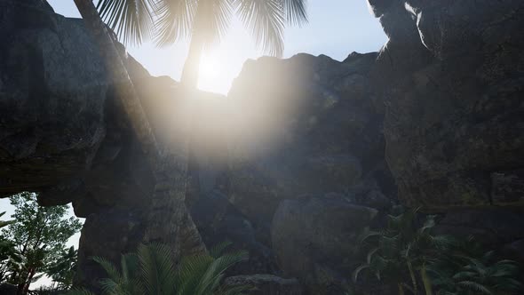 Sunbeam in Cave with Palms