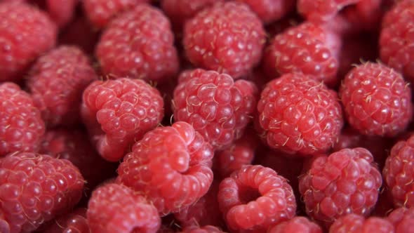 Raspberries in a Bowl