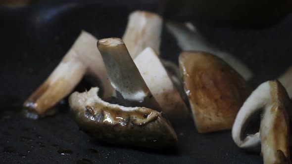 Mushroom in the Pan