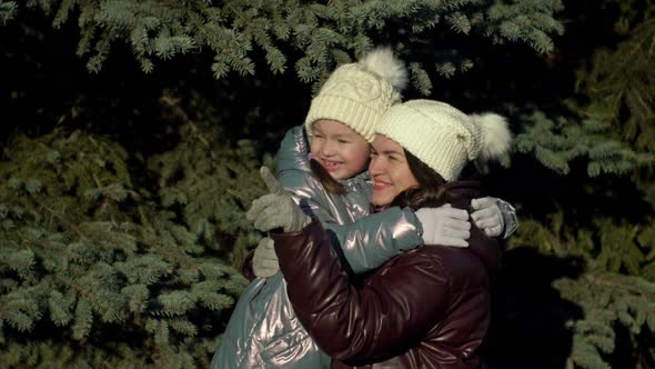 Walk in the Winter Forest