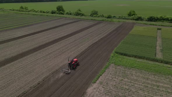 Agricultural Red Small Tractor in the Field Plowing Works in the Field