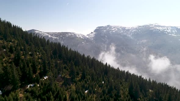 Forests Plateau and Clouds