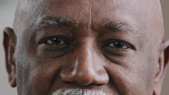 Closeup Male Dark Eyes Wrinkled Face African American Old Man Looking at Camera with Sad Expression