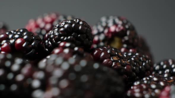 Ripe Juicy Blackberries Swirling on a Black Background Slow Motion