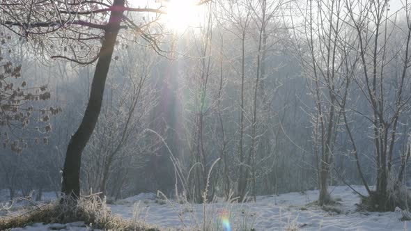 Park hill Kraljevica covered with first snow 4K 2160p UHD footage - Hills and forest near town of Za