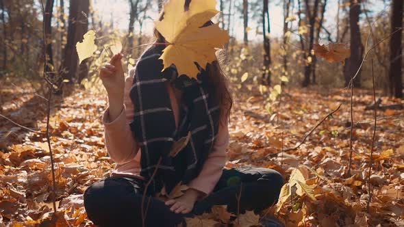 Cute Girl in a Golden Forest.