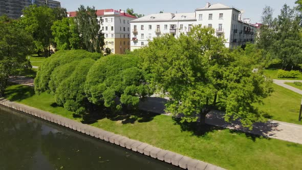 The Drone Flies Through the Trees in the Park and Follows the Running Athlete