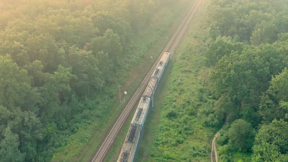 Passenger Train Rides Between Trees