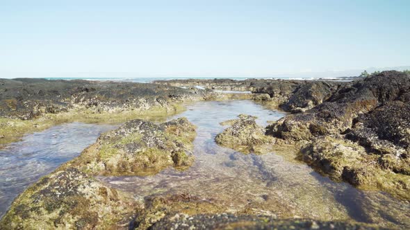 Clear tide pool on top of moss covered lava rock with waves gently creeping in