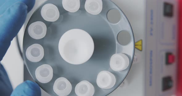 Technician Loads the Samples with the Sample Into the Laboratory Centrifuge