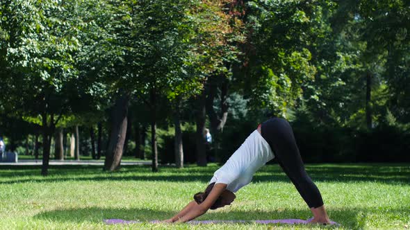 Young Attractive Woman Stretching, Exercising in the Park. Yoga