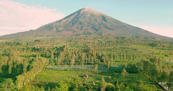 Mount Sindoro with rural view and lush trees in tobacco plantations with blue sky on the background