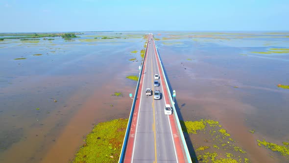 Drone video of the road leads through a large beautiful wetland.