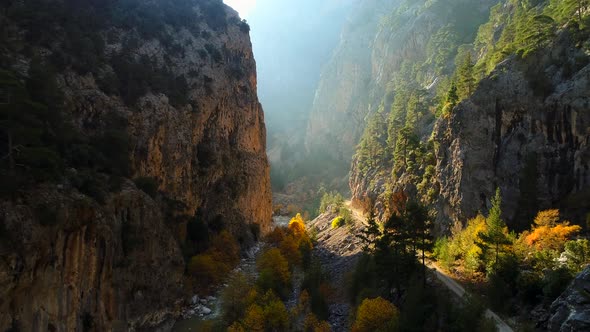 Rocks Among Trees In Autumn