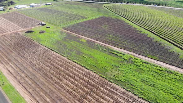 Aerial View of a Farm Crops in Australia