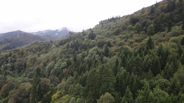 Aerial View of the Carpathian Mountains in Autumn. Ukraine