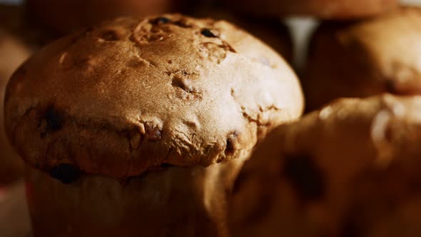 Traditional Italian Pastries for Christmas with Dried Fruits