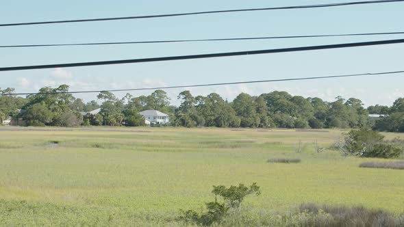 Wide shot of the marsh field. 3