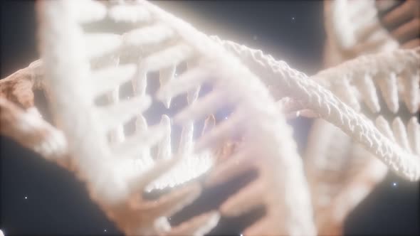 Double Helical Structure of Dna Strand Close-up Animation alt