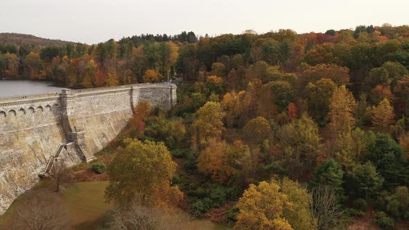 aerial pedestal shot downward over the orange colored tree tops in autumn with the dam's 297 foot wa