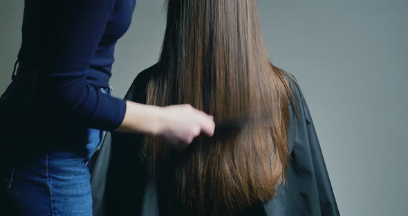 Woman Stylist Combing Hair