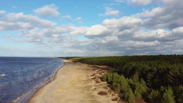 Garciems Beach, Latvia Baltic Sea Suny Winter Day Big Clouds Sand Dunes With Pine Trees. Aerial 4K