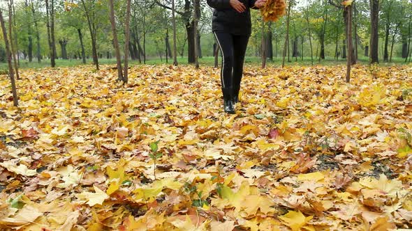 Woman Collects Fallen Yellow Leaves in the Autumn Park