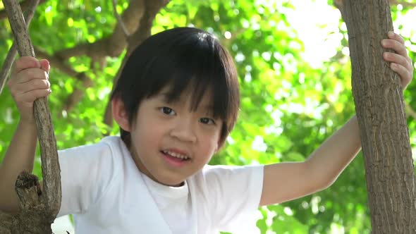 Cute Asian Boy Climbing A Tree In The Park