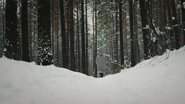 Doing A Nordic Walk in forest