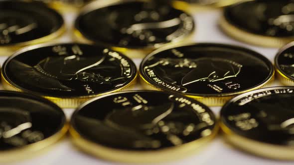 Rotating shot of Titan Bitcoins 