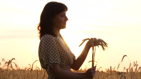 Portrait of a Girl Against the Sunset. The Girl Holds a Bouquet of Ears of Mature Wheat and Touches