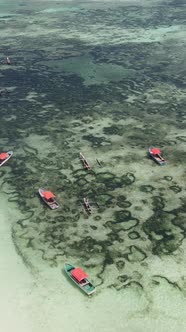 Vertical Video of the Ocean Near the Coast of Zanzibar Tanzania