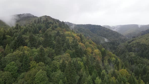 Aerial View of the Carpathian Mountains in Autumn. Ukraine