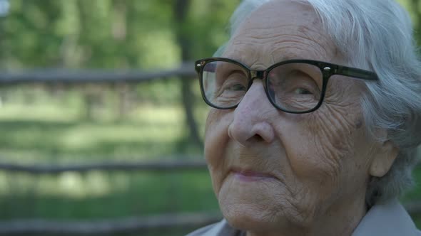 Portrait of a Happy Elderly Woman in Glasses