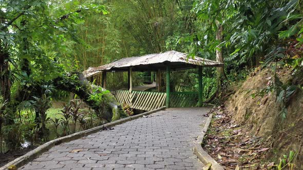 Paved pedestrian path in tropical garden with a beautiful footbridge