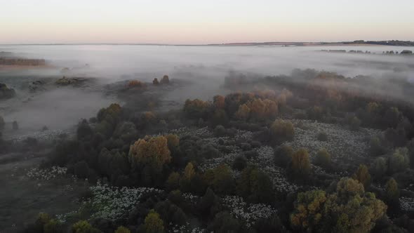 15 Morning Fogs In The Fields