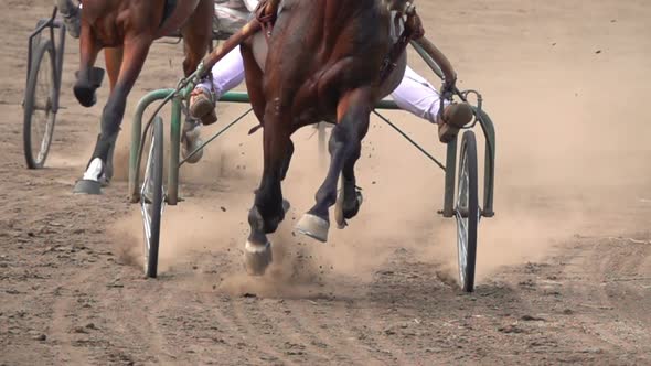 Horse Racing Of The Wagons