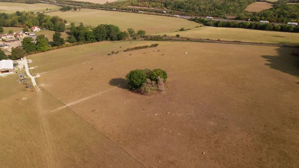 United Kingdom (UK) Kent countryside drone footage, aerial footage. Beautiful trees, sunrise, sunset