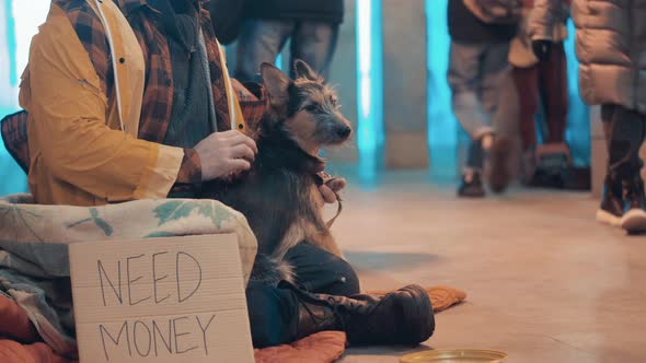 A Dog is Being Pet By a Homeless Man