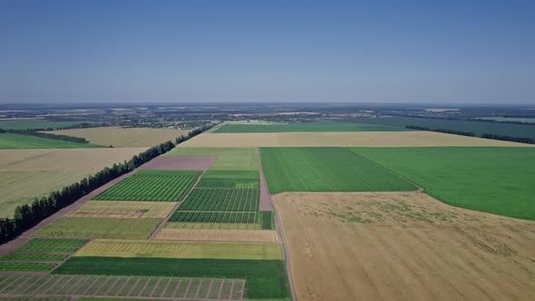 Agriculture Food Production Plantation From Up Above