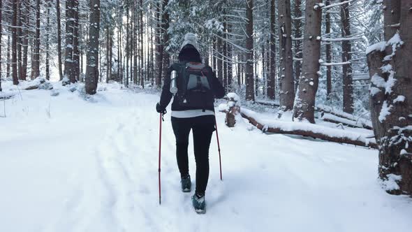 Back View of Woman on Forest