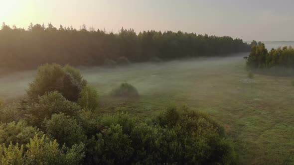 Landscape Sunrise Bright Sun Over a Misty Meadow with Trees on a Clear Morning. Natural Rural Scene