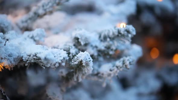 Closeup on snowy Christmas tree, camera panning left